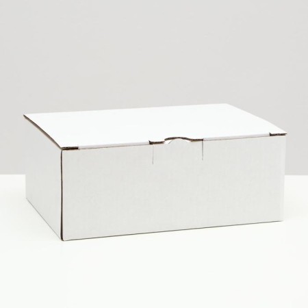 Penal box, white, 26 x 19 x 10 cm