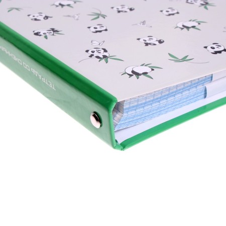 Notebook on rings, 160 sheets in the panda cage, solid cover, glossy lamination, with a change of block-5