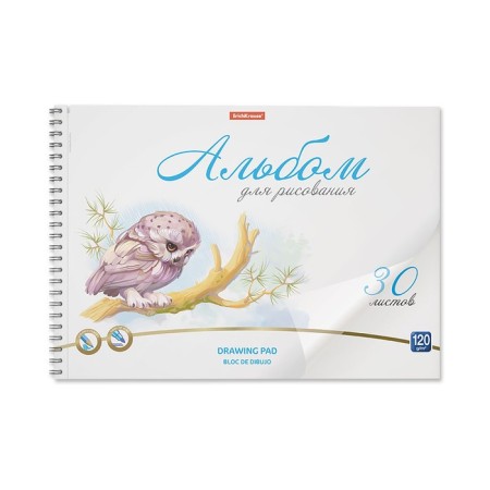 Album for drawing A4, 30 sheets, block 120 g/m², spirals, Erich Krause "Birds", plastic cover, 100% whiteness, solid substrate