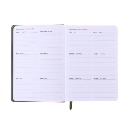 Dated diary of 2025, A6+, 176 sheets "Lyon", solid cover, pancake embossing, with liesa, block 80 g/m2, green-8