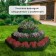 Glocked flowerbed, 3 tiers, d = 60–100–140 cm, h = 45 cm, green, Greengo