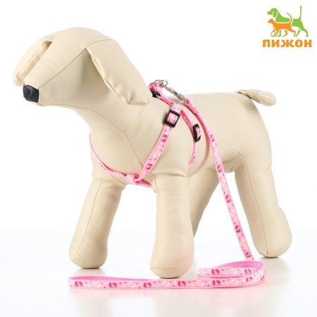 Set "Color Transes", leash 120 x 1 cm, fire 23-35 cm, pink