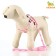 Set "Color Transes", leash 120 x 1 cm, fire 23-35 cm, pink