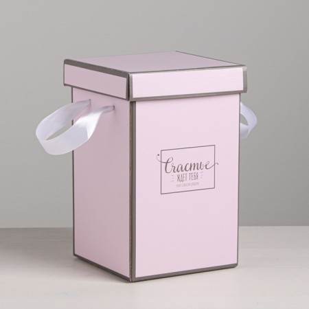 Gift Folding Box "Happiness is waiting for you", 14 x 23 cm-3