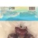 Hyacinth Fondant, rr 14/15, 3pcs, autumn 2024