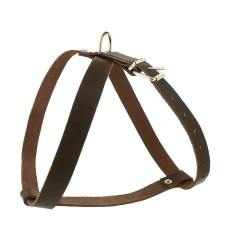 Leather harness 