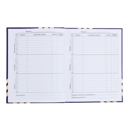 Universal diary for grades 1-11, Globe and Feather, solid cover 7BC, glossy lamination, 40 sheets-6