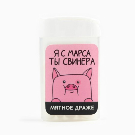 Drage sweets in the bank "You are a pig", mint, 18 g-2