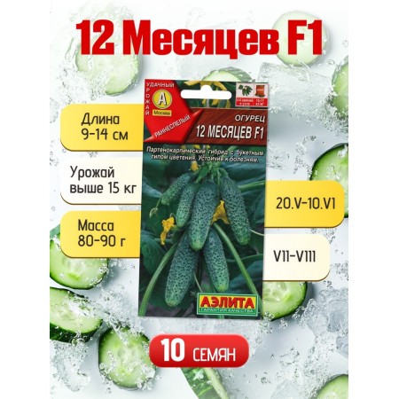 Set of seeds Early Self -Self -pollinated cucumbers-7