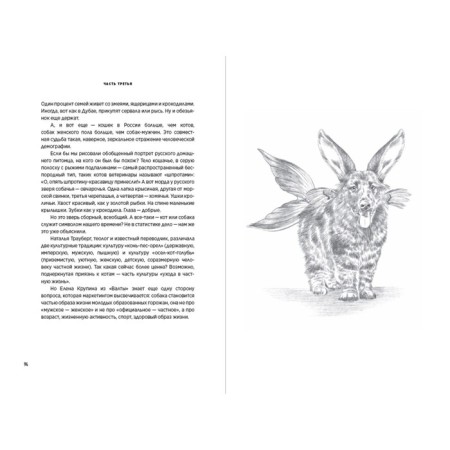 Tail. Successful business based on love. Young A., Korka B., Kark A.-3