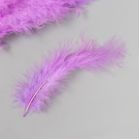 Pen decorative goose down "Lilac" set 40 pcs h = 10-15 cm-1