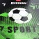 Universal diary for grades 1-11 "World of Football", hard cover, glossy lamination, 40 sheets