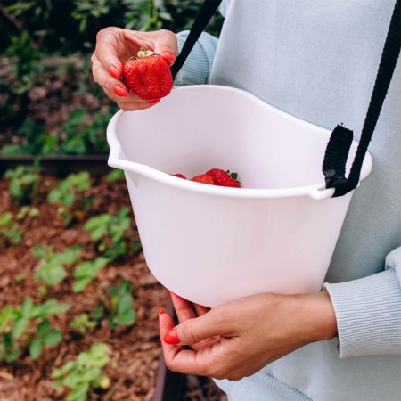 Berry collection container, 3 l, white-10