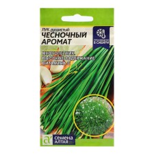 Seeds of the onion 