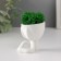 Kashpo concrete mini "Mr. Green" Mizaru with moss white 5.5x6.5x6.5 cm (moss green. Stabil.)