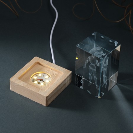 Souvenir Glass backlight "Rectangle. Sharpish person" Standing tree, USB 7x7x10-8