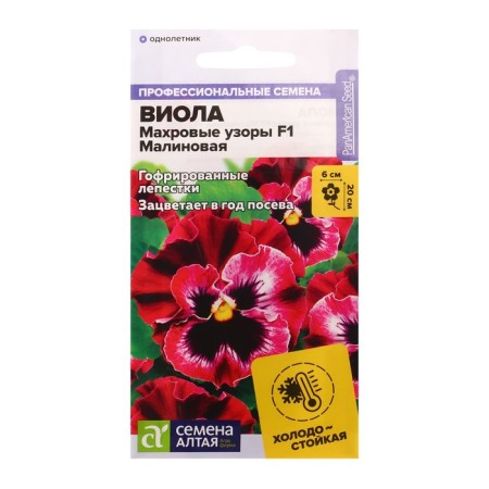 Viola flowers "Trevior patterns", raspberry, f1, c/p, 5 pcs.