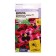 Viola flowers "Trevior patterns", raspberry, f1, c/p, 5 pcs.