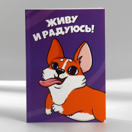 Set in the portfolio: A5 diary, magnetic bookmarks and pen "For those who have paws"-11