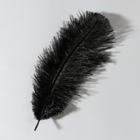 Feather of ostrich 25-30 cm, black-1