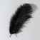 Feather of ostrich 25-30 cm, black