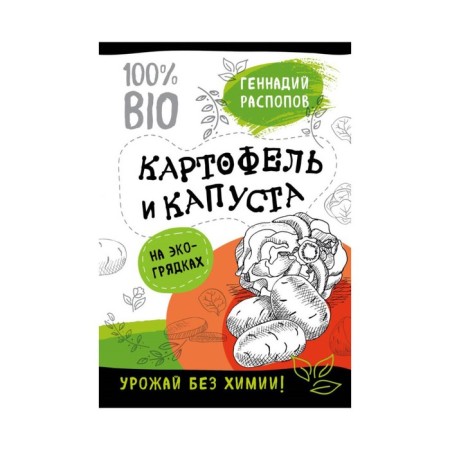 Potatoes and cabbage on eco -beds. Harvest without chemistry. Raspov G. F.
