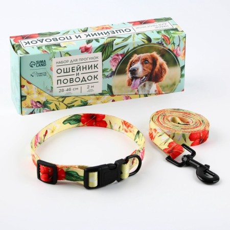 Set "Flowers", fastener - fastx, leash 2 m and collar 28-46 cm-1