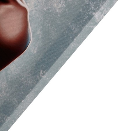 Picture on the canvas "Adais" 40*60 cm-1