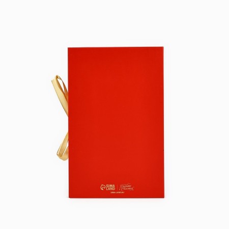 Box - Kniga "New Year's Shar", 20 x 12.5 x 5 cm, New Year-4