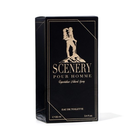 Male toilet water SCENERY, 100 ml-4