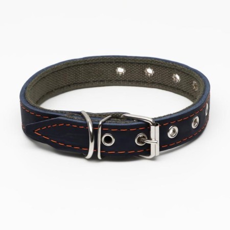 Collar combined leather/tarpaulin, dimensionless, 54 x 2.5 cm, Osh 17-45 cm, blue-1