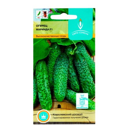 Seeds of the cucumber "Marinda" F1, parthenocarpic, 10 pcs.