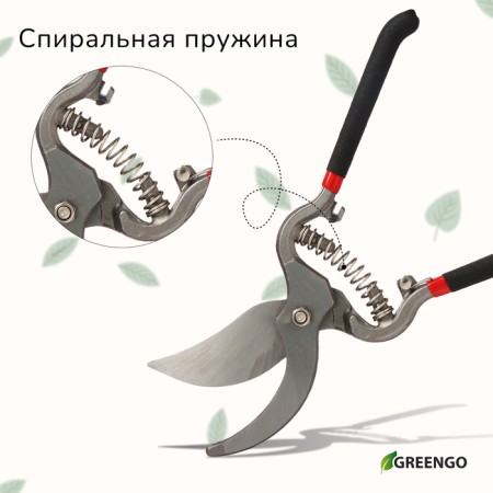 Planning coater, 10 "(25 cm), with metallic rubberized handles, Greengo-8