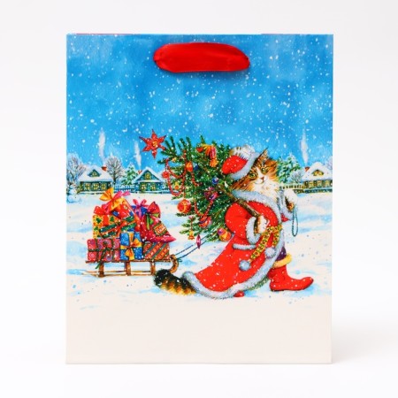 Gift package "Santa Claus with gifts", 18 x 22.3 x 10 cm-1