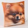 Antistress pillow "Spitz"