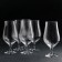A set of beer glasses Crystalex Tulipa, 540 ml, 6 pcs