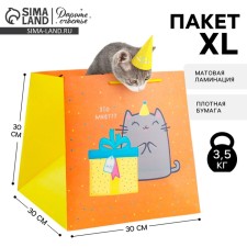 Square gift package, packaging, “cat and cake”, 30 x 30 x 30 cm