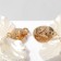 Clips "Breeze", white color in gold