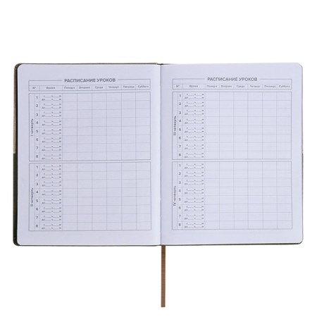 School diary for grades 1-11, 50/50 %, solid cover with foam rubber, artificial leather, silkography, lies, universal cheat sheet, 48 sheets, block 80g/m2-6