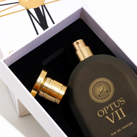 Perfume water unisex OPTUS VII (based on Amouage Opus VII), 100 ml-1