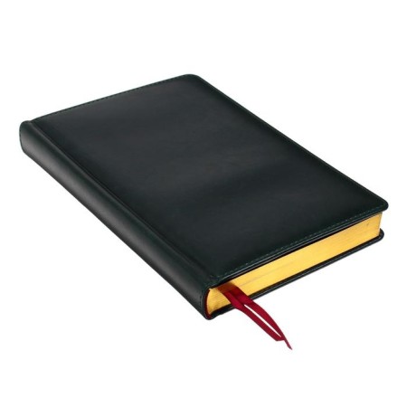 Diary Leduced A5+, 176 Parliament sheets, solid artificial leather cover, green-2