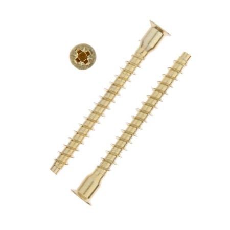 The screed screw tundra Krep 7.0x70 PZ, brassized 10 pcs.