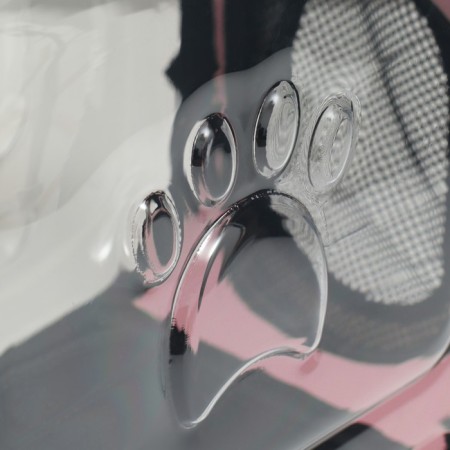 Carriage for animals is transparent, 42*32*28 cm, pink-8