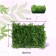 Decorative panel, 40 × 60 cm, "Fwear", Greengo