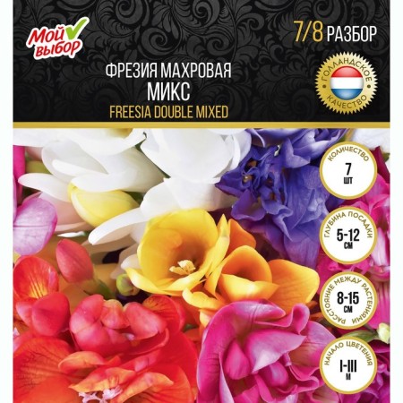 Freesia Terry Mix, rr 7/8, 7 pcs, autumn 2024-3