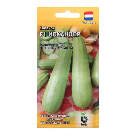 Semen zucchini Iskander, F1, 5 pcs.