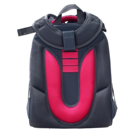 School backpack 38 x 30 x 16 cm, ergonomic back, Stavia "Pune of the Haw", multicolor-6