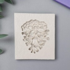 MOLD SILICON 