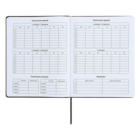 Universal diary for grades 1-11 "strip", solid cover of artificial leather, silkography, lies, 48 ​​sheets, black+blue-5