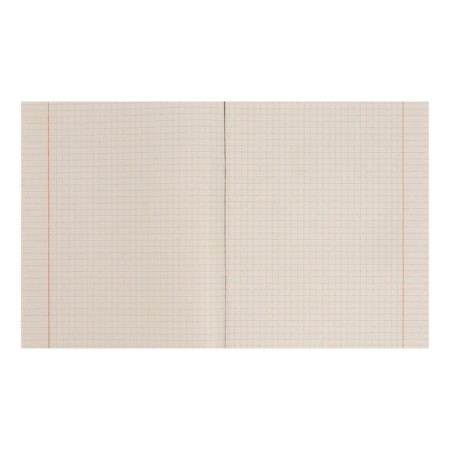 A notebook of 48 sheets in a cage "under sails", cover coated cardboard, block 60 g/m2, whiteness 75% (gray sheets), mix-2